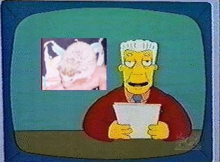 Kent Brockman and Hedgehog Domination