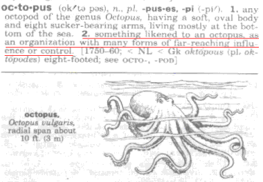 octopus