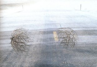 tumbleweeds blowing by the Compound